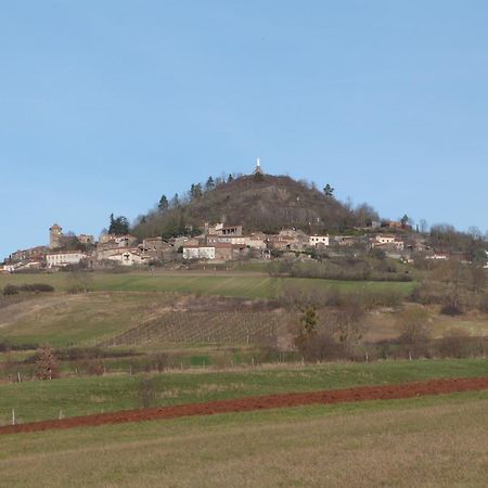 Chateau Des Aiguilles Saint-Remy-de-Chargnat Luaran gambar