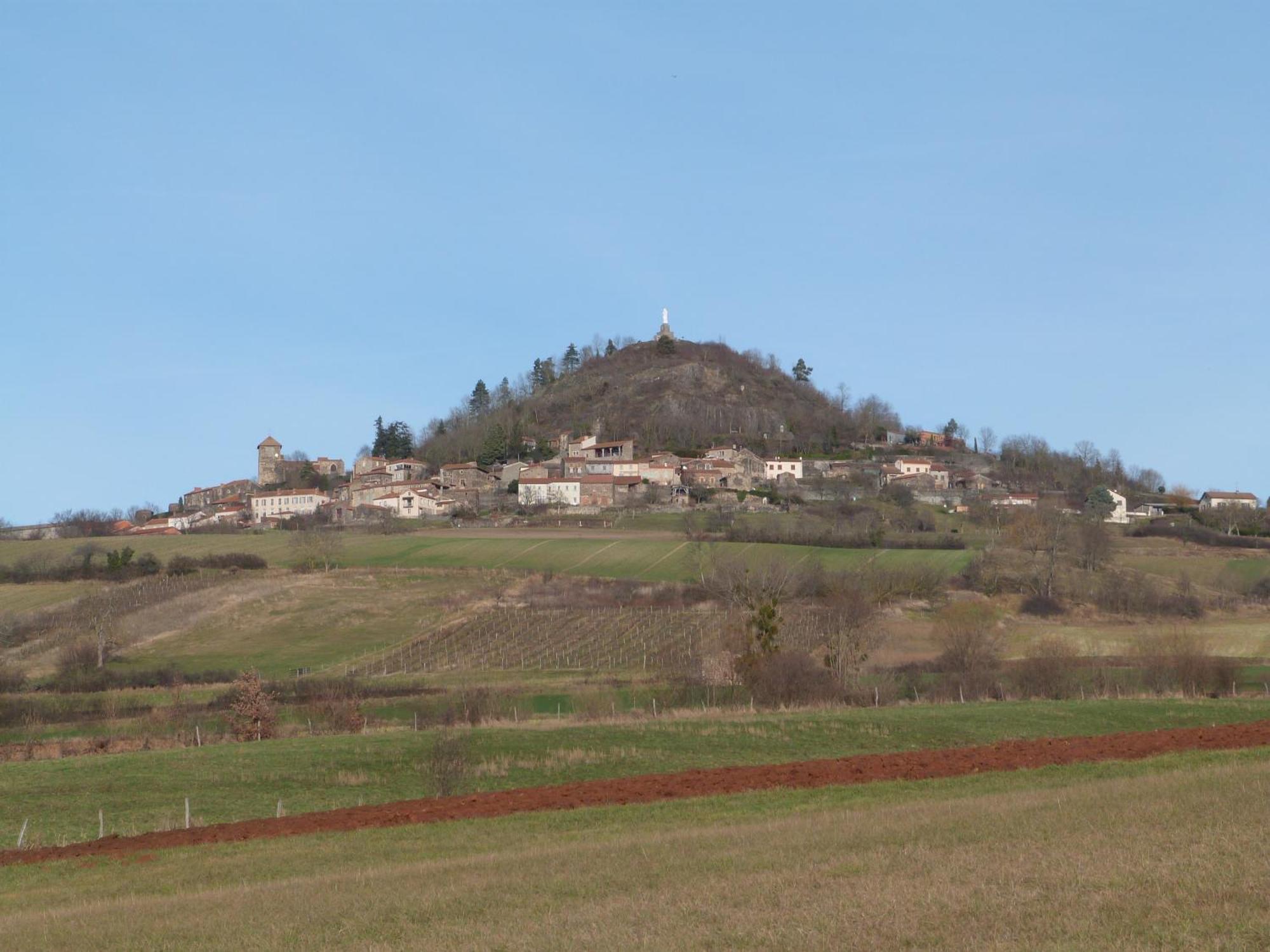 Chateau Des Aiguilles Saint-Remy-de-Chargnat Luaran gambar
