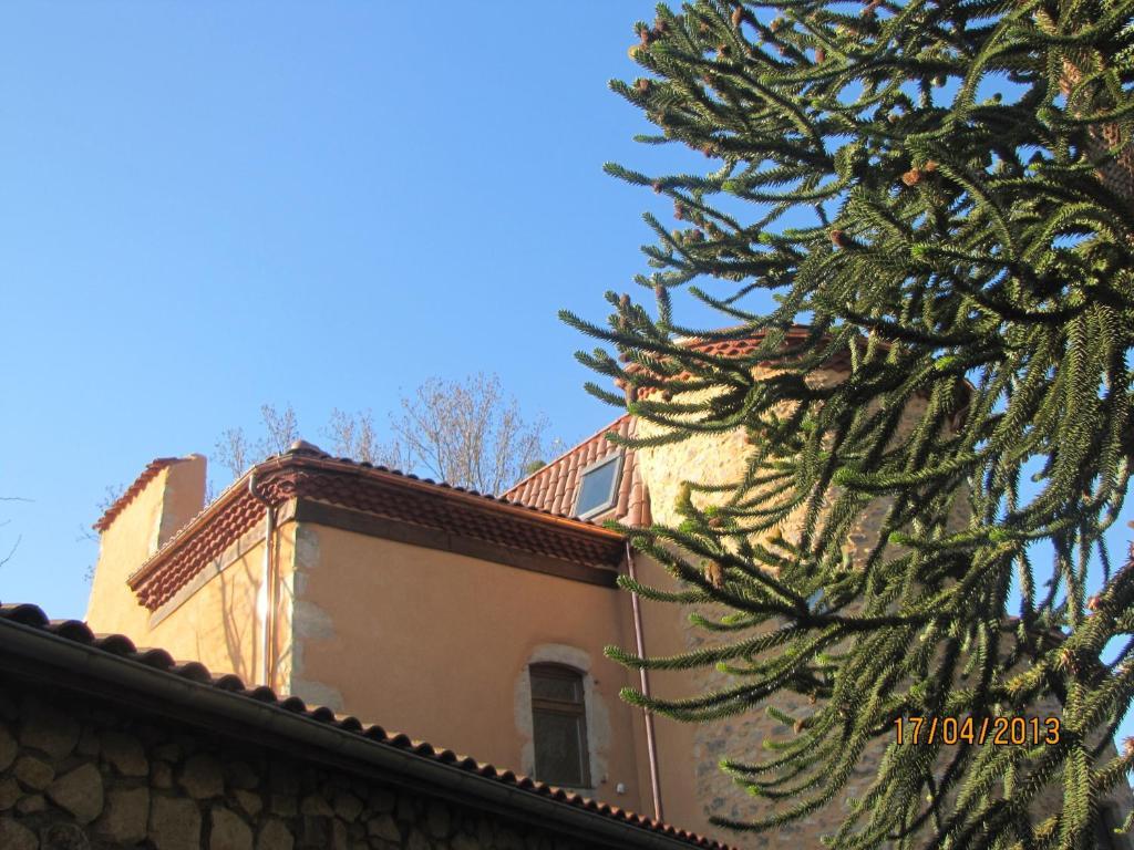 Chateau Des Aiguilles Saint-Remy-de-Chargnat Luaran gambar