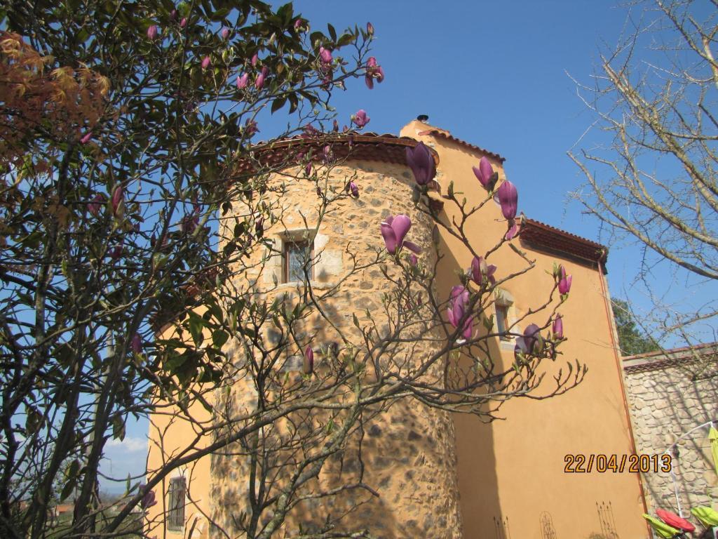 Chateau Des Aiguilles Saint-Remy-de-Chargnat Luaran gambar